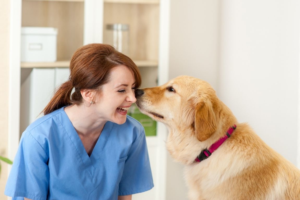 Profesional veterinaria interactuando con un perro
